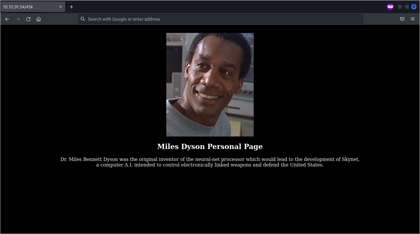 Skynet - Hydden directory
